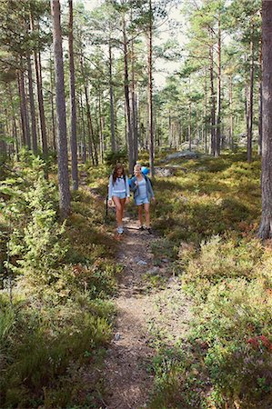 simsearch:700-06190628,k - Women hiking in forest together Stockbilder - Premium RF Lizenzfrei, Bildnummer: 6122-07702180