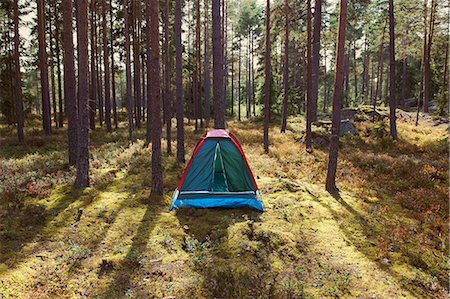 forest clearing - Tent at campsite in forest Stock Photo - Premium Royalty-Free, Code: 6122-07702181