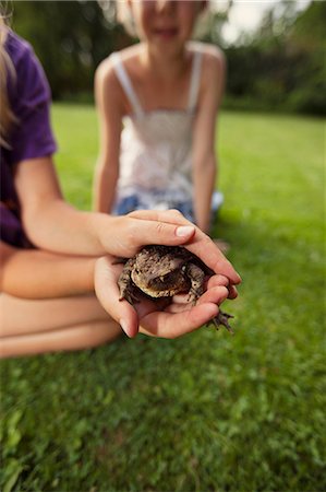 frog - Girl holding frog in backyard Foto de stock - Sin royalties Premium, Código: 6122-07703337