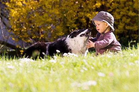 Baby girl playing with dog in grass Stock Photo - Premium Royalty-Free, Code: 6122-07703635