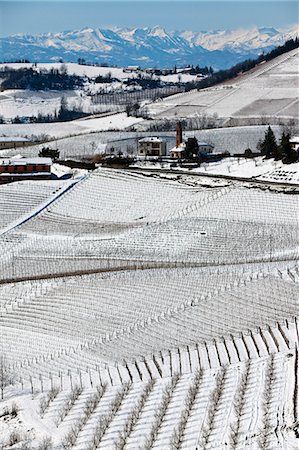 Trees growing on snowy rural hillside Foto de stock - Sin royalties Premium, Código: 6122-07703913