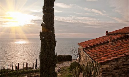 House overlooking coastline Stockbilder - Premium RF Lizenzfrei, Bildnummer: 6122-07703924
