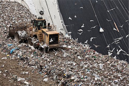 simsearch:649-05821514,k - Bulldozer at garbage collection center Foto de stock - Royalty Free Premium, Número: 6122-07704742