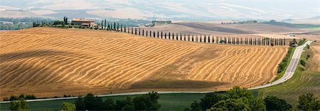 fields of siena - Aerial view of rural road and crop fields Stock Photo - Premium Royalty-Free, Code: 6122-07704747
