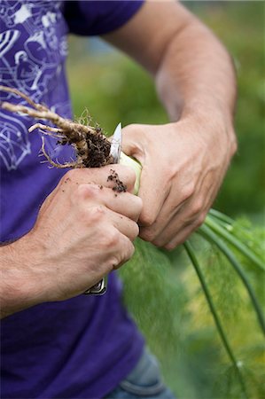 simsearch:649-05949489,k - Worker cutting fennel root outdoors Fotografie stock - Premium Royalty-Free, Codice: 6122-07705205