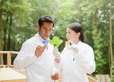 Scientists examining leaf outdoors Stock Photo - Premium Royalty-Free, Code: 6122-07705592