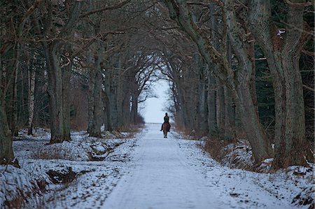 Woman riding horse on snowy path Foto de stock - Sin royalties Premium, Código: 6122-07706531