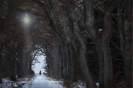 silhouette of lady walking - Woman riding horse on snowy path Foto de stock - Sin royalties Premium, Código: 6122-07706532