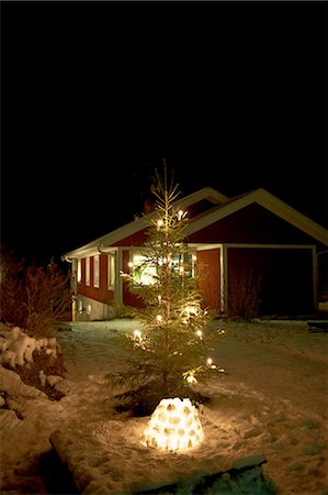 Christmas tree lit up in snow Stock Photo - Premium Royalty-Free, Code: 6122-07707392