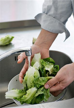 simsearch:6122-08229154,k - Man washing lettuce in sink Stockbilder - Premium RF Lizenzfrei, Bildnummer: 6122-08212051