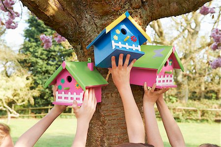 Children hanging birdhouses in tree Stock Photo - Premium Royalty-Free, Code: 6122-08229023