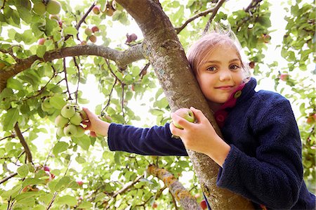 Smiling girl picking fruit from tree Stock Photo - Premium Royalty-Free, Code: 6122-08229853