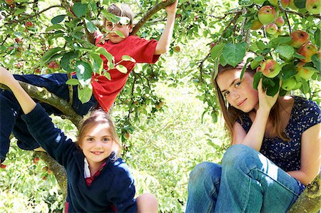 Smiling children climbing tree together Stock Photo - Premium Royalty-Free, Code: 6122-08229852