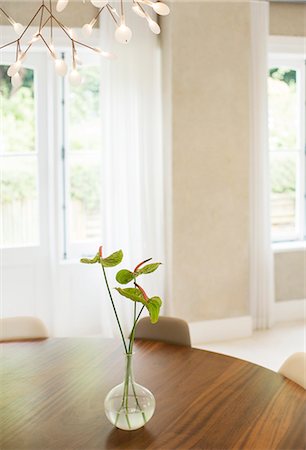 Anthurium bouquet on table in dining room Stock Photo - Premium Royalty-Free, Code: 6124-08170554