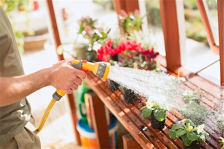 simsearch:6113-08424203,k - Man gardening watering potted plants with hose sprayer in greenhouse Stock Photo - Premium Royalty-Free, Code: 6124-08820746