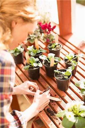 simsearch:6113-08424203,k - Woman writing on stick labels potting plants in greenhouse Stock Photo - Premium Royalty-Free, Code: 6124-08820730