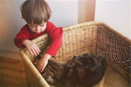 sleeping cat top view - Boy petting cat in basket Photographie de stock - Premium Libres de Droits, Code: 6124-08945900