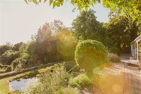 peace garden - Sunny summer garden with green trees Photographie de stock - Premium Libres de Droits, Code: 6124-08945934