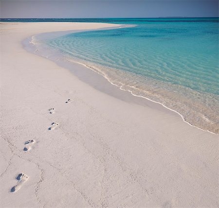 Footprints in sand on tropical beach Foto de stock - Sin royalties Premium, Código: 6124-08945935