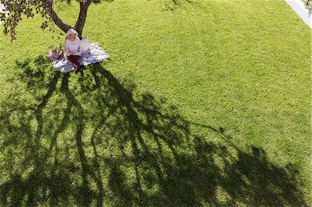 Businesswoman working on blanket below tree in sunny yard Stock Photo - Premium Royalty-Free, Code: 6124-08907899