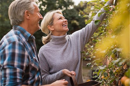 simsearch:6124-09143690,k - Smiling mature couple harvesting apples in garden Stock Photo - Premium Royalty-Free, Code: 6124-09167245