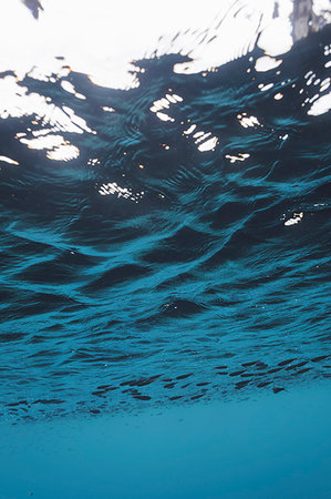 Underwater tranquil blue ocean water, Vava'u, Tonga, Pacific Ocean Stock Photo - Premium Royalty-Free, Code: 6124-09188684