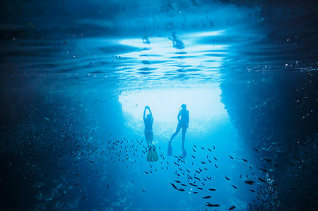 Couple snorkeling underwater among fish, Vava'u, Tonga, Pacific Ocean Stock Photo - Premium Royalty-Free, Code: 6124-09188690