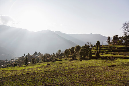Sunny, tranquil scenic view, Supi Bageshwar, Uttarakhand, Indian Himalayan Foothills Foto de stock - Sin royalties Premium, Código: 6124-09188691