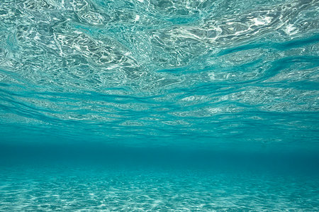 simsearch:6124-09188670,k - Underwater view tranquil blue ocean, Vava'u, Tonga, Pacific Ocean Photographie de stock - Premium Libres de Droits, Code: 6124-09188627