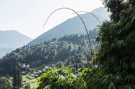 remote (remote location) - Sunny scenic view, Supi Bageshwar, Uttarakhand, Indian Himalayan Foothills Stock Photo - Premium Royalty-Free, Code: 6124-09188639