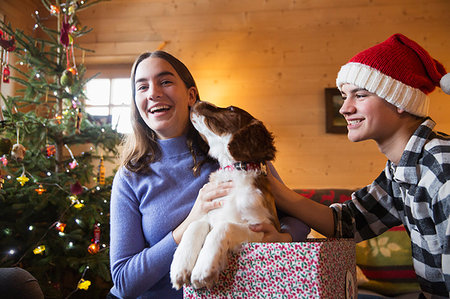 simsearch:649-03771235,k - Portrait happy brother and sister with dog in Christmas gift box Stockbilder - Premium RF Lizenzfrei, Bildnummer: 6124-09188767
