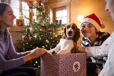 Portrait family playing with dog in Christmas gift box Foto de stock - Sin royalties Premium, Código: 6124-09188764