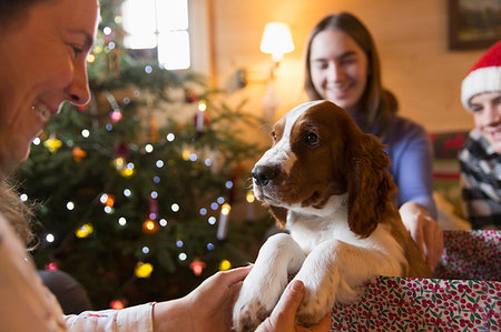 Family with puppy dog in Christmas gift box Foto de stock - Sin royalties Premium, Código: 6124-09188727