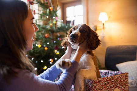 Teenage girl petting cute dog in Christmas gift box Foto de stock - Sin royalties Premium, Código: 6124-09188730