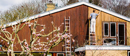 painting the exterior of house ladders - Male painter on ladder painting home exterior trim Stock Photo - Premium Royalty-Free, Code: 6124-09270014