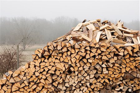 simsearch:700-03596246,k - Sweden, Smaland, Pile of firewood Photographie de stock - Premium Libres de Droits, Code: 6126-08580570