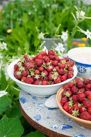 swedish berries - Sweden, Gotland, Bursvik, Burgegard, Freshly picked strawberries in bowls Stock Photo - Premium Royalty-Free, Code: 6126-08643053