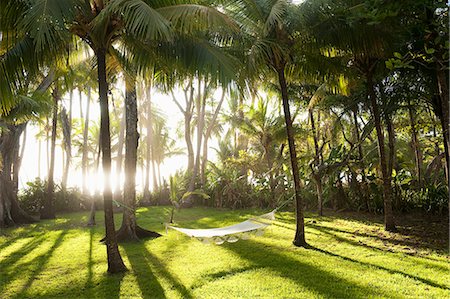 santa teresa - Costa Rica, Santa Teresa, Hammock between palm trees Stock Photo - Premium Royalty-Free, Code: 6126-08643070