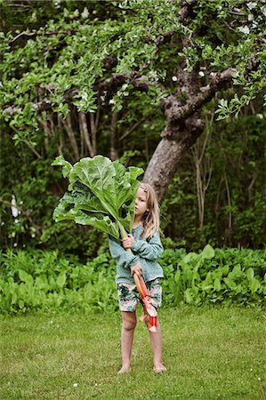 five year old - Sweden, Sodermanland, Girl (4-5) standing on grass and holding large rhubarb leaves Stock Photo - Premium Royalty-Free, Code: 6126-08643158