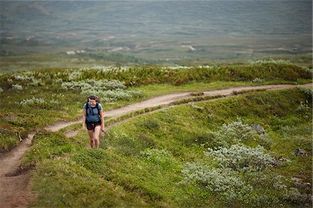 simsearch:6126-09104200,k - Sweden, Jamtland, Blahammaren fell, Woman hiking in meadows Photographie de stock - Premium Libres de Droits, Code: 6126-08643100