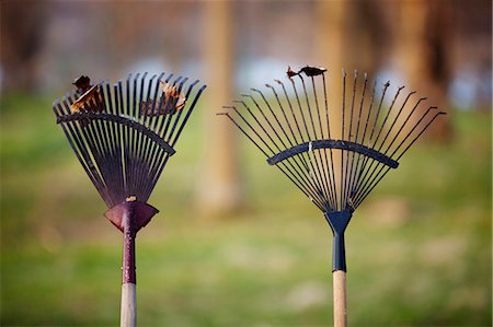 Sweden, Smaland, Sundsholm, Leaf rakes and dry leaves Stock Photo - Premium Royalty-Free, Code: 6126-08643314