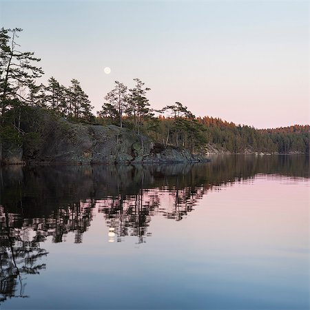simsearch:6126-08644654,k - Sweden, Vastergotland, Tiveden National Park, Stora Trehorningen, Lake with forest at sunset Stock Photo - Premium Royalty-Free, Code: 6126-08643573