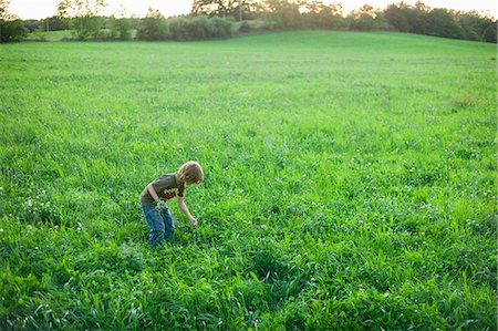 simsearch:633-05401634,k - Sweden, Skane, Osterlen, Boy (6-7) picking wildflowers Fotografie stock - Premium Royalty-Free, Codice: 6126-08643795