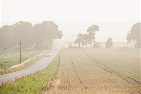 simsearch:6126-08643317,k - Sweden, Blekinge, Solvesborg, Country road in foggy day Fotografie stock - Premium Royalty-Free, Codice: 6126-08644086