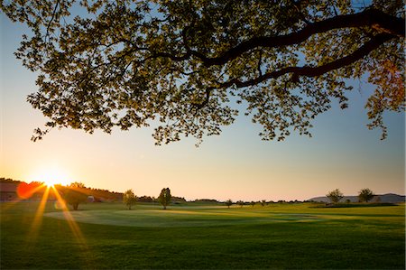 simsearch:6126-08643494,k - Sweden, Ostergotland, View of Ombergs Golf Resort at sunset Photographie de stock - Premium Libres de Droits, Code: 6126-08644444