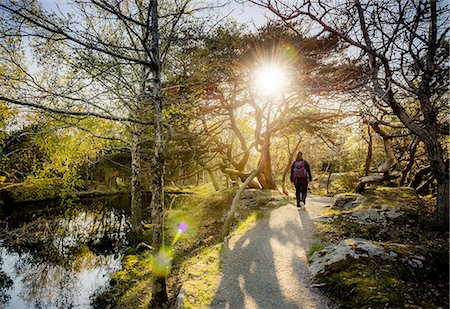 simsearch:6126-09104200,k - Sweden, West Coast, Bohuslan, Marstrand, View of tourist on footpath Photographie de stock - Premium Libres de Droits, Code: 6126-08644604