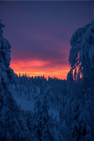 Finland, Lapland, Kittila, Levi, Moody sky over forest Stock Photo - Premium Royalty-Free, Code: 6126-08644800