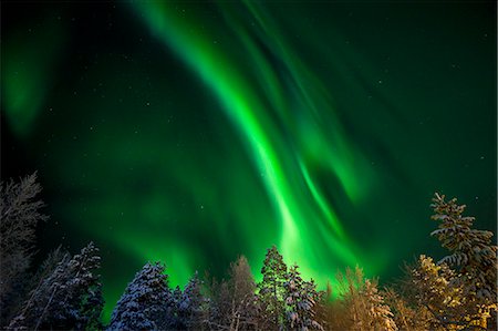 Finland, Lapland, Kittila, Levi, Aurora borealis over trees Foto de stock - Sin royalties Premium, Código: 6126-08644809