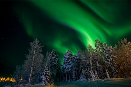 Finland, Lapland, Kittila, Levi, Aurora borealis over forest Foto de stock - Sin royalties Premium, Código: 6126-08644810