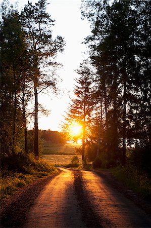 simsearch:6126-08636086,k - Sweden, Ostergotland, Landscape with empty road and setting sun Foto de stock - Royalty Free Premium, Número: 6126-08658995
